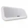 Fusion RV-FS402W Speaker