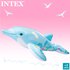 Intex Delfiini