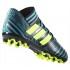 adidas Scarpe Calcio Nemeziz 17.3 AG