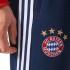 adidas FC Bayern Munich Sweat Pants