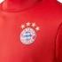 adidas FC Bayern Munich Training Top Junior