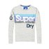 Superdry Mountaineer Panel Long Sleeve T-Shirt