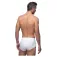 Abanderado Slips 0335