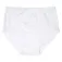 Abanderado Slips 0335