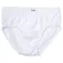 Abanderado Slips 0525