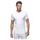 Abanderado 0206 short sleeve base layer