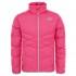 The north face Andes Down Jacket