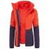 The north face Garner Trciclimate Jacke