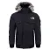 The north face Gotham Jacket