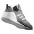 adidas Crazytrain Pro 2 Schuhe