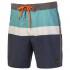 Protest Bronco Swimming Shorts