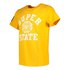 Superdry Upstate Wash Short Sleeve T-Shirt