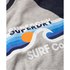 Superdry Surf CO Stripe Raglan T-Shirt Manche Longue
