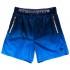 Superdry Active Ombre Training Shorts