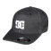 Dc Shoes Star TX cap