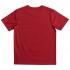Dc shoes Rusted Panel Kurzarm T-Shirt