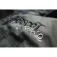 Hotspot design Piker Canada 夹克