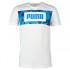 Puma Summer Pack Graphic Kurzarm T-Shirt