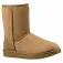 Ugg Classic Short II boots