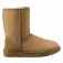Ugg Bottes Classic Short II