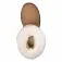 Ugg Classic Short II boots