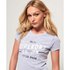 Superdry Trademark Short Sleeve T-Shirt