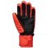 Dc shoes Franchise Gloves Youth