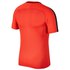 Nike Dry Academy Short Sleeve T-Shirt