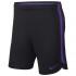 Nike Tottenham Hotspur FC Dry Squad Shorts