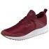Puma Pacer Next Cage Trainers