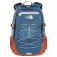 The north face Borealis Classic 29L Backpack