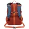 The north face Borealis Classic 29L Backpack