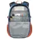 The north face Borealis Classic 29L Backpack