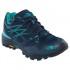 The north face Hedgehog Fastpack Goretex Hiking Shoes