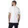 Helly hansen Crew 短袖T恤