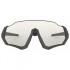 Oakley Gafas De Sol Fotocromáticas Flight Jacket
