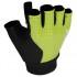 Q36.5 Summer Gloves