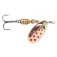 Evia Cullereta Dotty Mod 11 2 4g