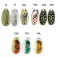 Evia Cucharilla Dotty Mod 11 1 3g