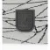 Spyder Web