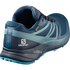 Salomon Chaussures Trail Running Sense Ride 2 Goretex Invisible Fit