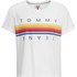 Tommy hilfiger Camiseta Manga Corta Multicolor Line Logo