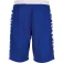 Spalding Essential Reversible shorts