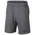 Nike Pantalones Cortos Dri-Fit Hyperdry Regular