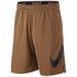 Nike Dry HBR 4.0 Shorts
