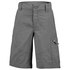 Columbia Silver Ridge Novelty Shorts Pants