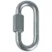 Mammut Maillon snap hook