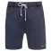 Protest Carver shorts