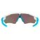 Oakley Radar EV Path Prizm solbriller