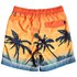 Quiksilver Paradise Volley 15´´ Swimming Shorts